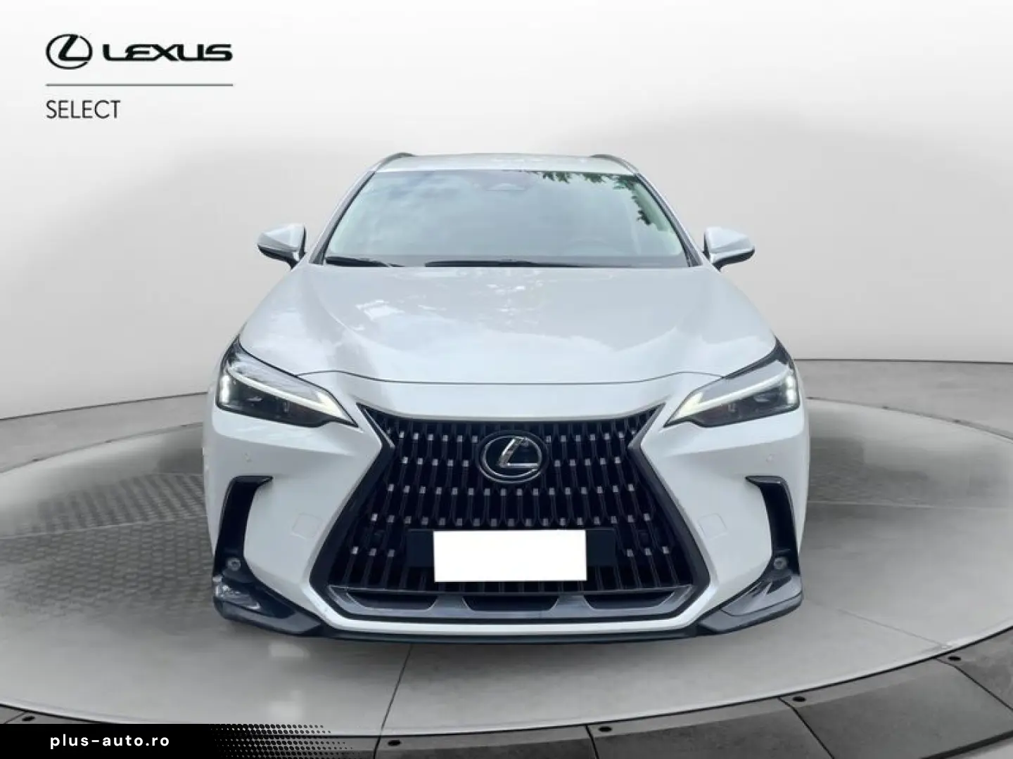 ANDERE Lexus NX NX 350 Hybrid 4WD VENDUTA