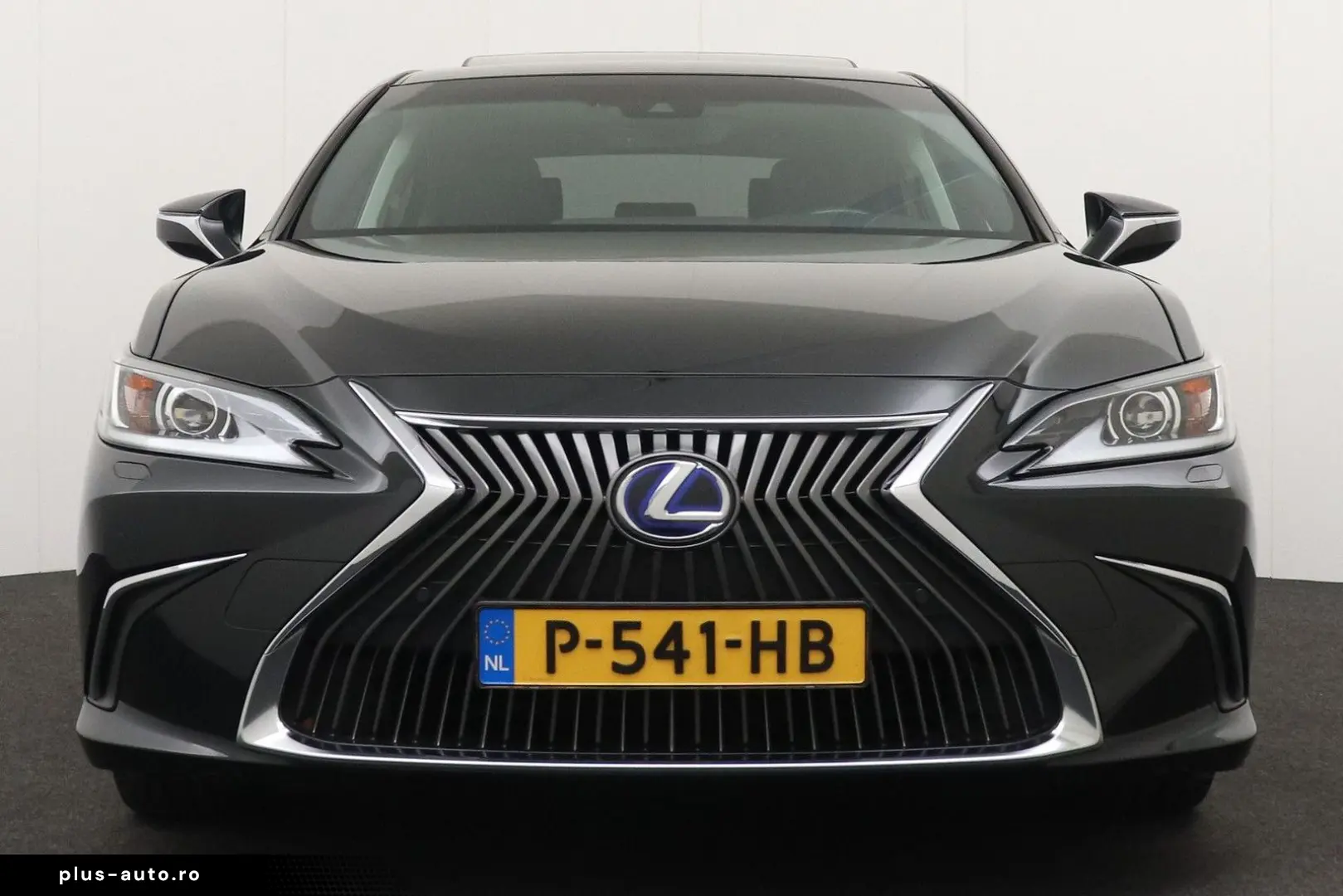 LEXUS ES 300 300h Preference Line Business Schuif- kan