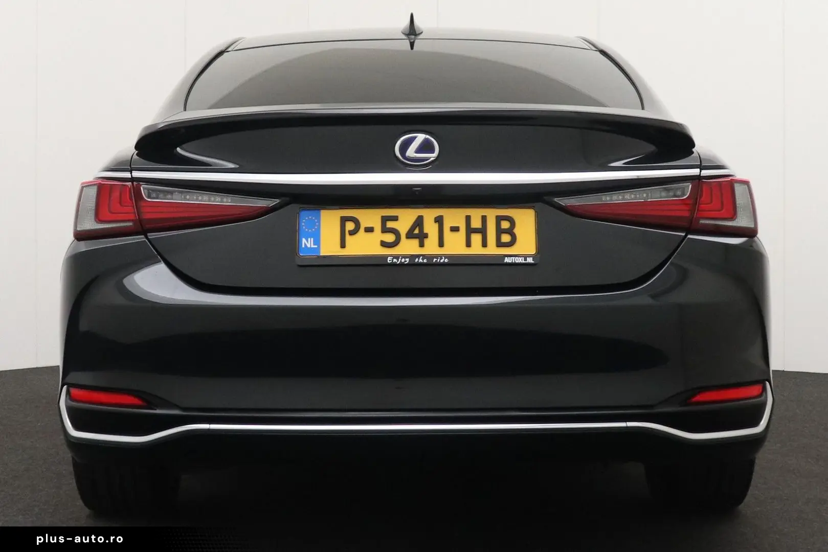 LEXUS ES 300 300h Preference Line Business Schuif- kan