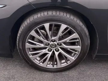 LEXUS ES 300 300h Preference Line Business Schuif- kan