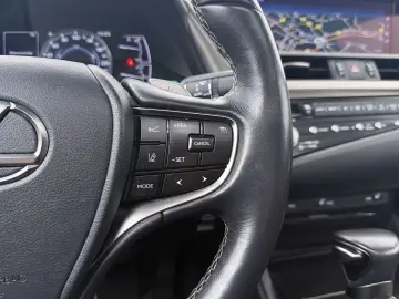 LEXUS ES 300 300h Preference Line Business Schuif- kan