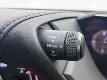 LEXUS ES 300 300h Preference Line Business Schuif- kan