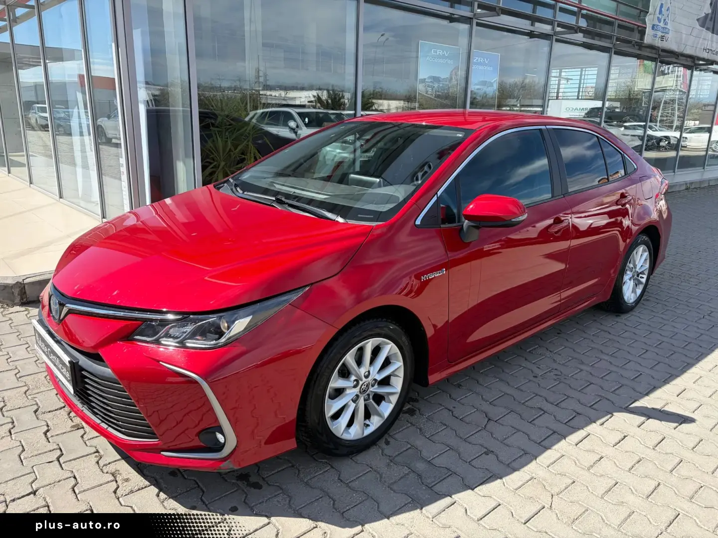 Toyota Corolla Sedan Business - Car No 25