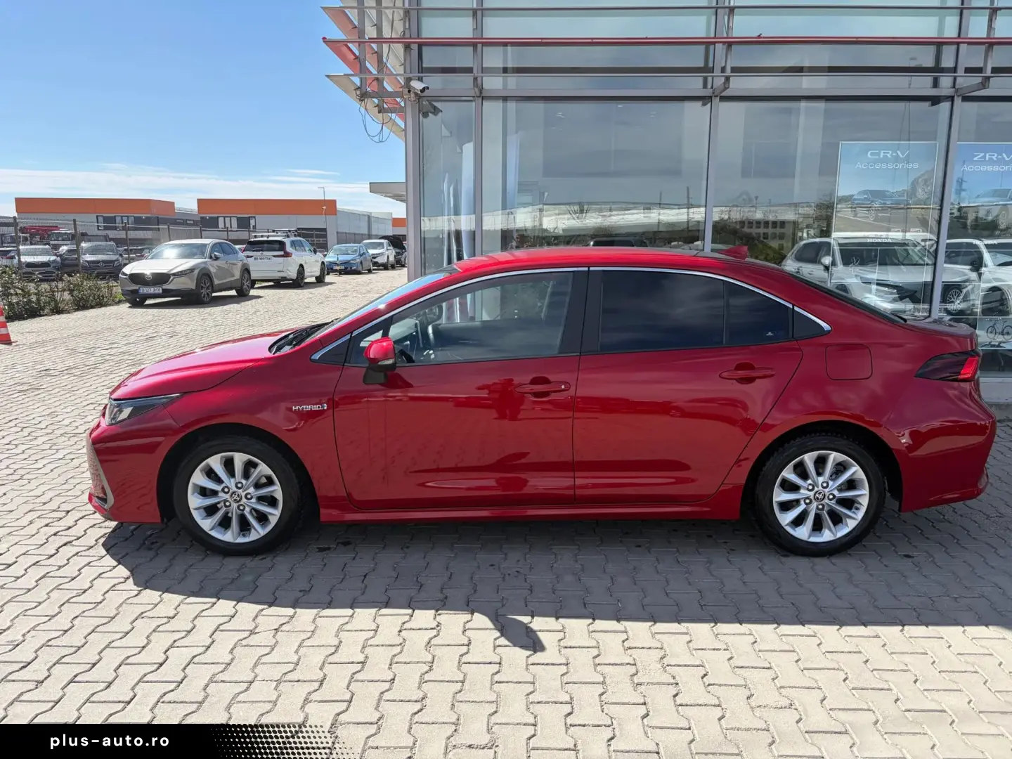 Toyota Corolla Sedan Business - Car No 25