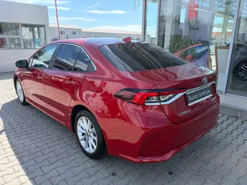 Toyota Corolla Sedan Business - Car No 25