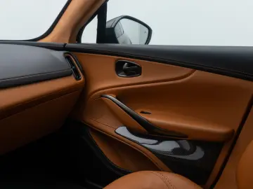 ASTON MARTIN DBX 4.0 V8 Individual Carbon Elegance