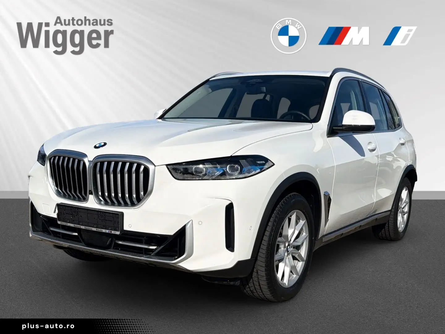BMW X5 30d xDrive AHK Navigation HarmanKardon LED