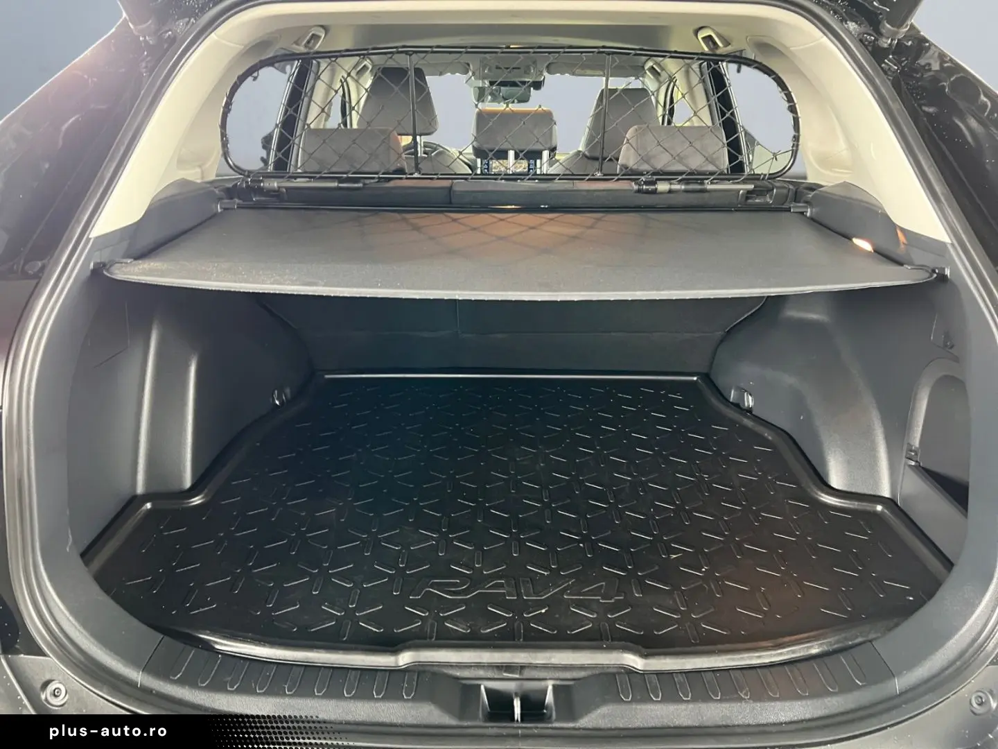 TOYOTA RAV 4 2.5 4x2 Hybrid Team D