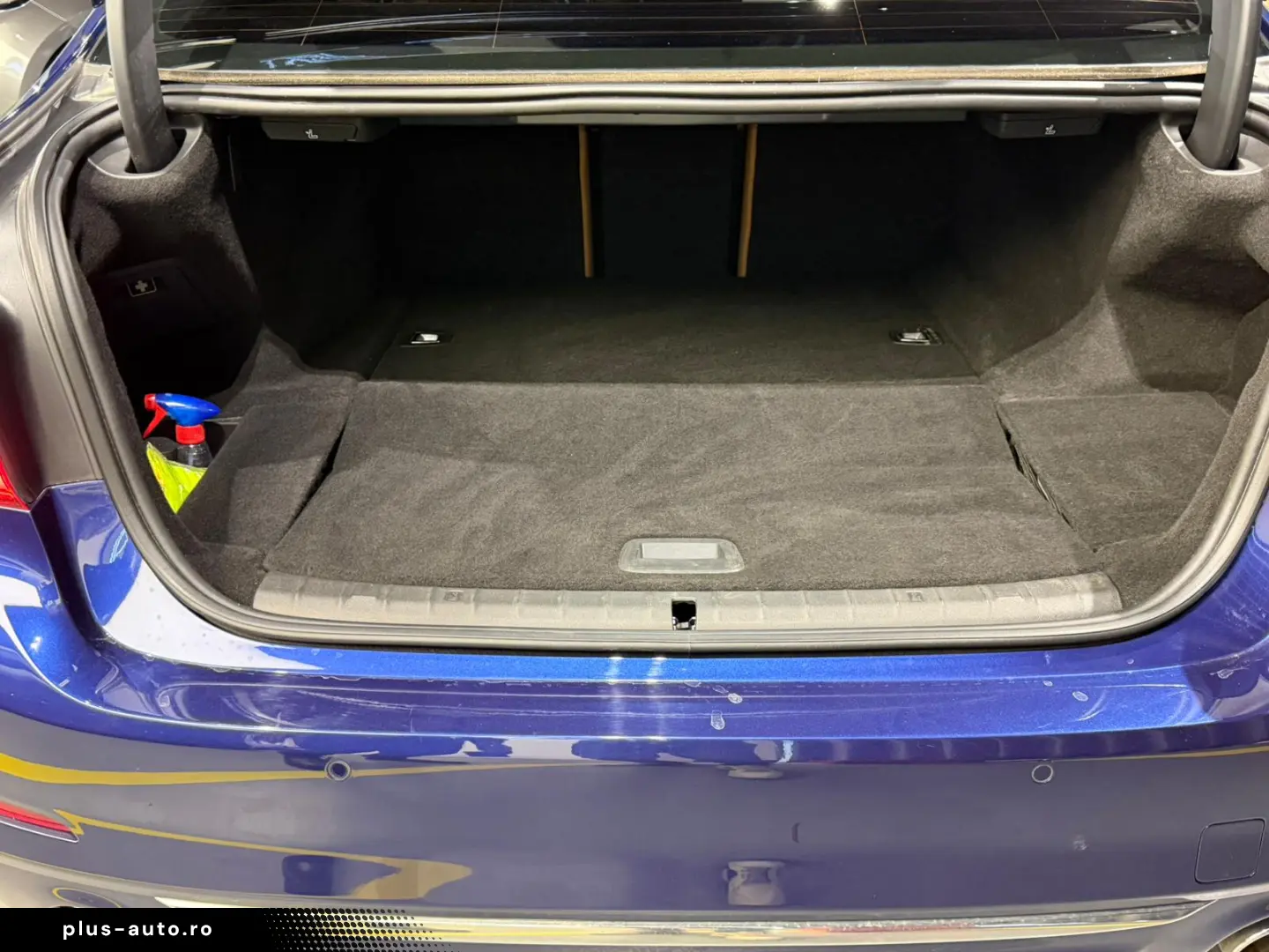 BMW 530e Luxury Line iPerformance