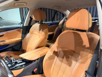 BMW 530e Luxury Line iPerformance