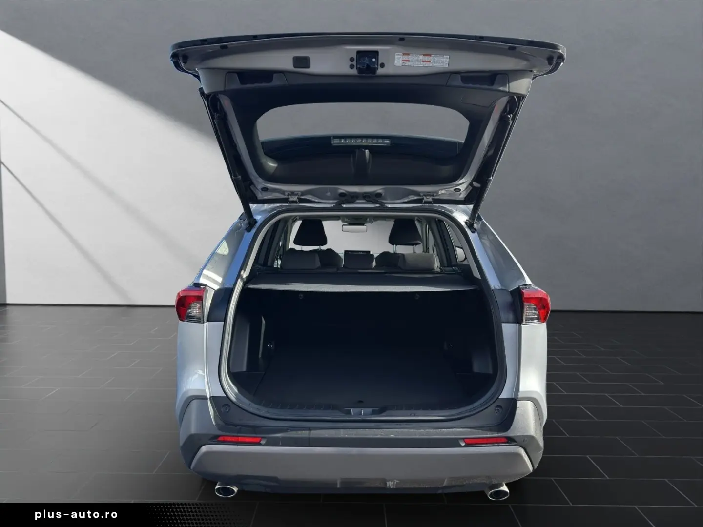 TOYOTA RAV 4 Hybrid 4x4 TEAM-D