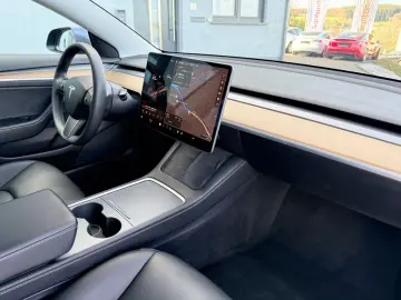 TESLA Model 3 Performance    1. Hand     GREY