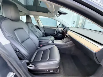 TESLA Model 3 Performance    1. Hand     GREY