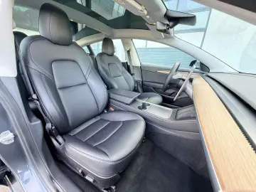 TESLA Model 3 Performance    1. Hand     GREY