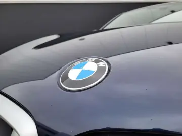 BMW X6 xDrive30d PANORAMA  LASER  H&K   360