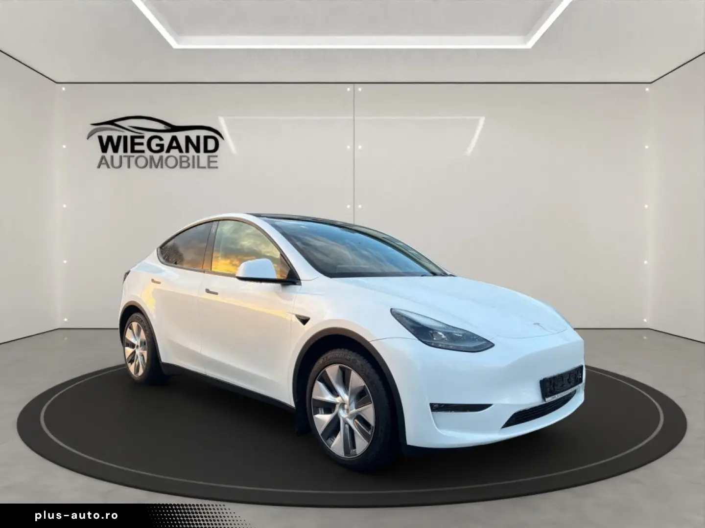 TESLA Model Y Long Range Dual