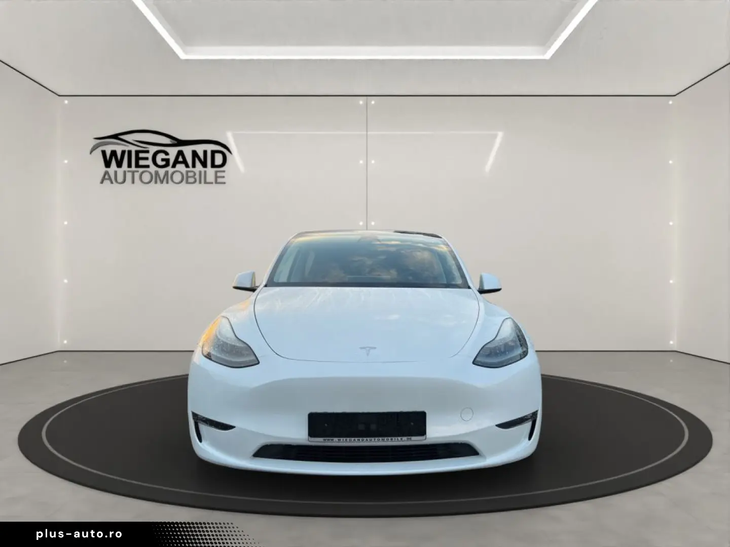 TESLA Model Y Long Range Dual