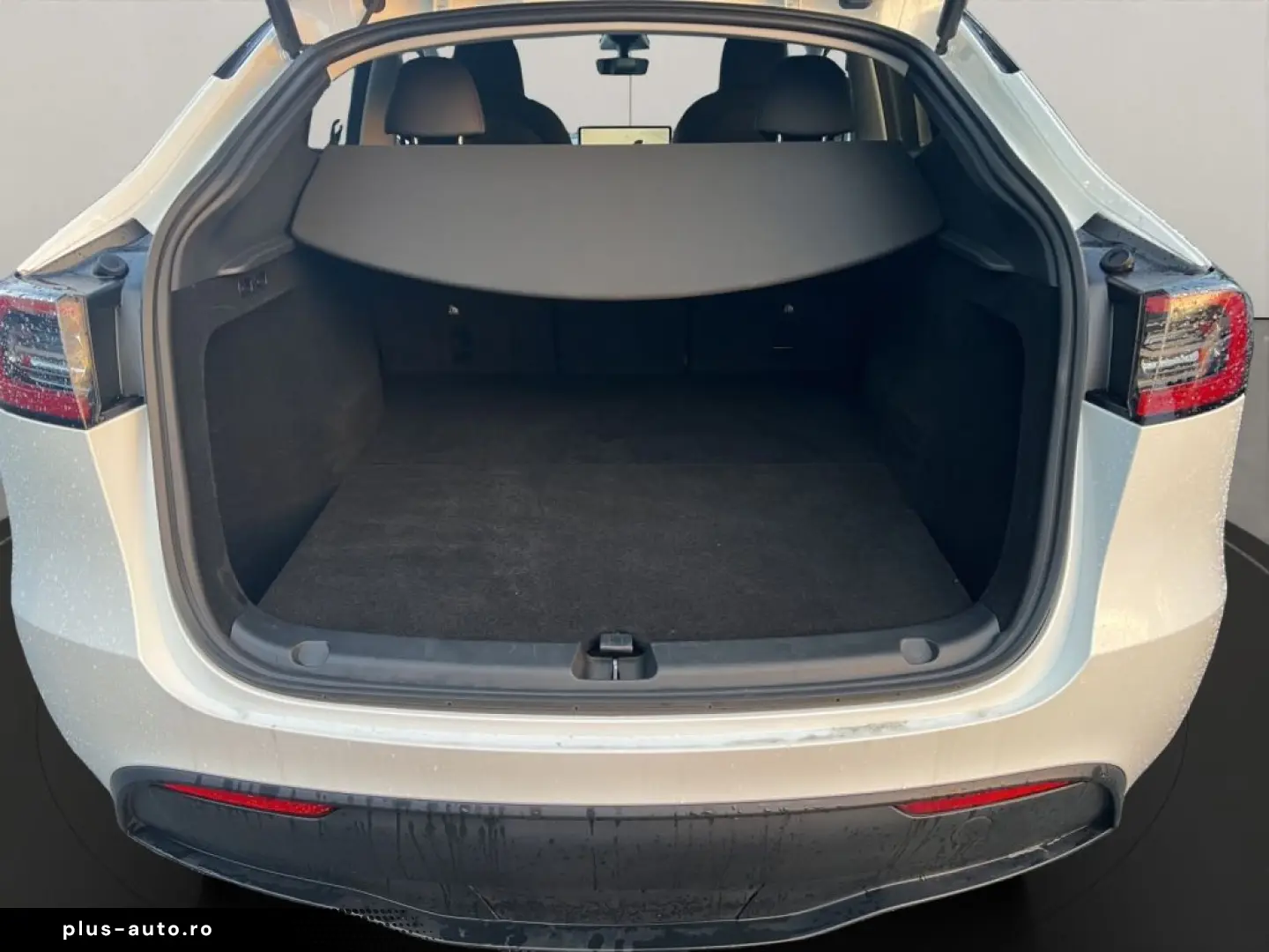 TESLA Model Y Long Range Dual