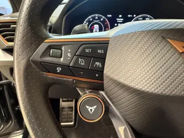 CUPRA Formentor 2.0 TSI DSG VZ 4Drive AHK LED SHZ Wint