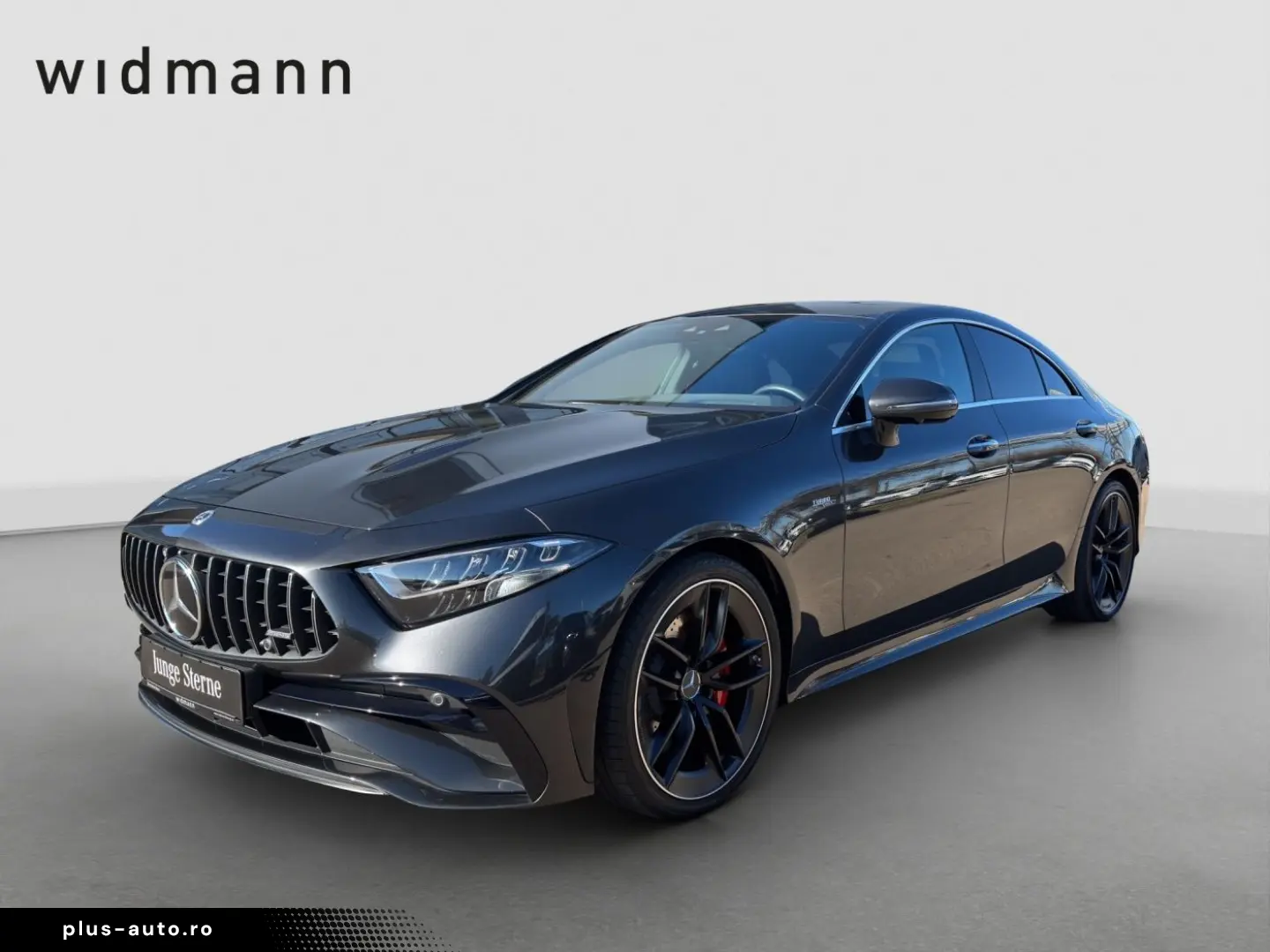 MERCEDES-BENZ CLS 53 AMG 4M    AHK Standhzg S-Dach Distro H