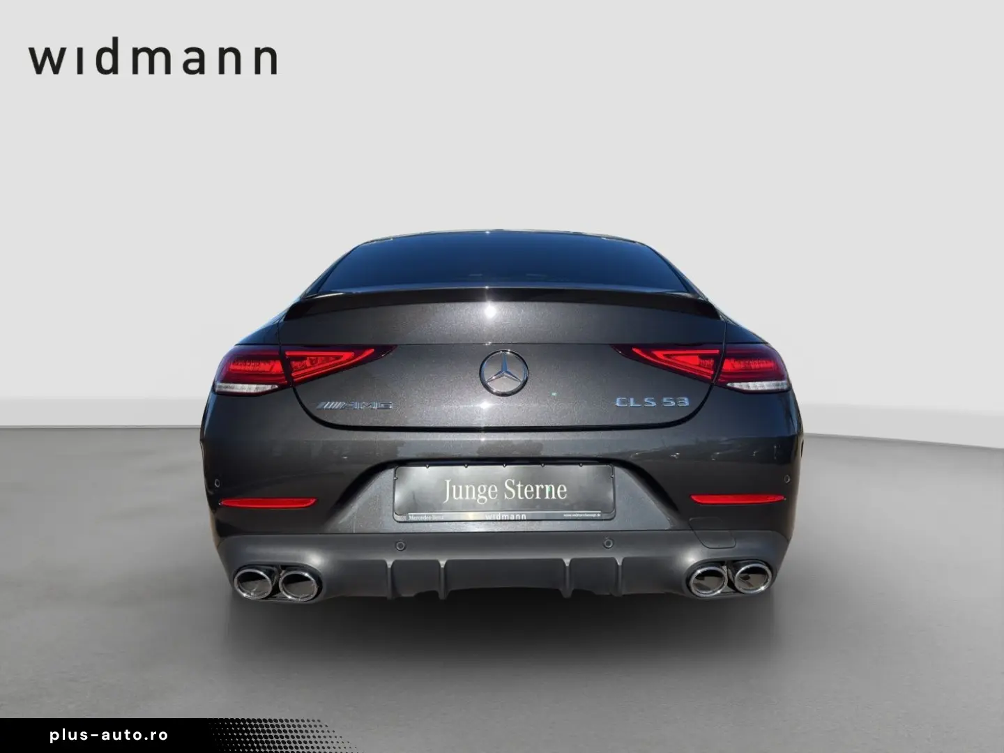 MERCEDES-BENZ CLS 53 AMG 4M    AHK Standhzg S-Dach Distro H