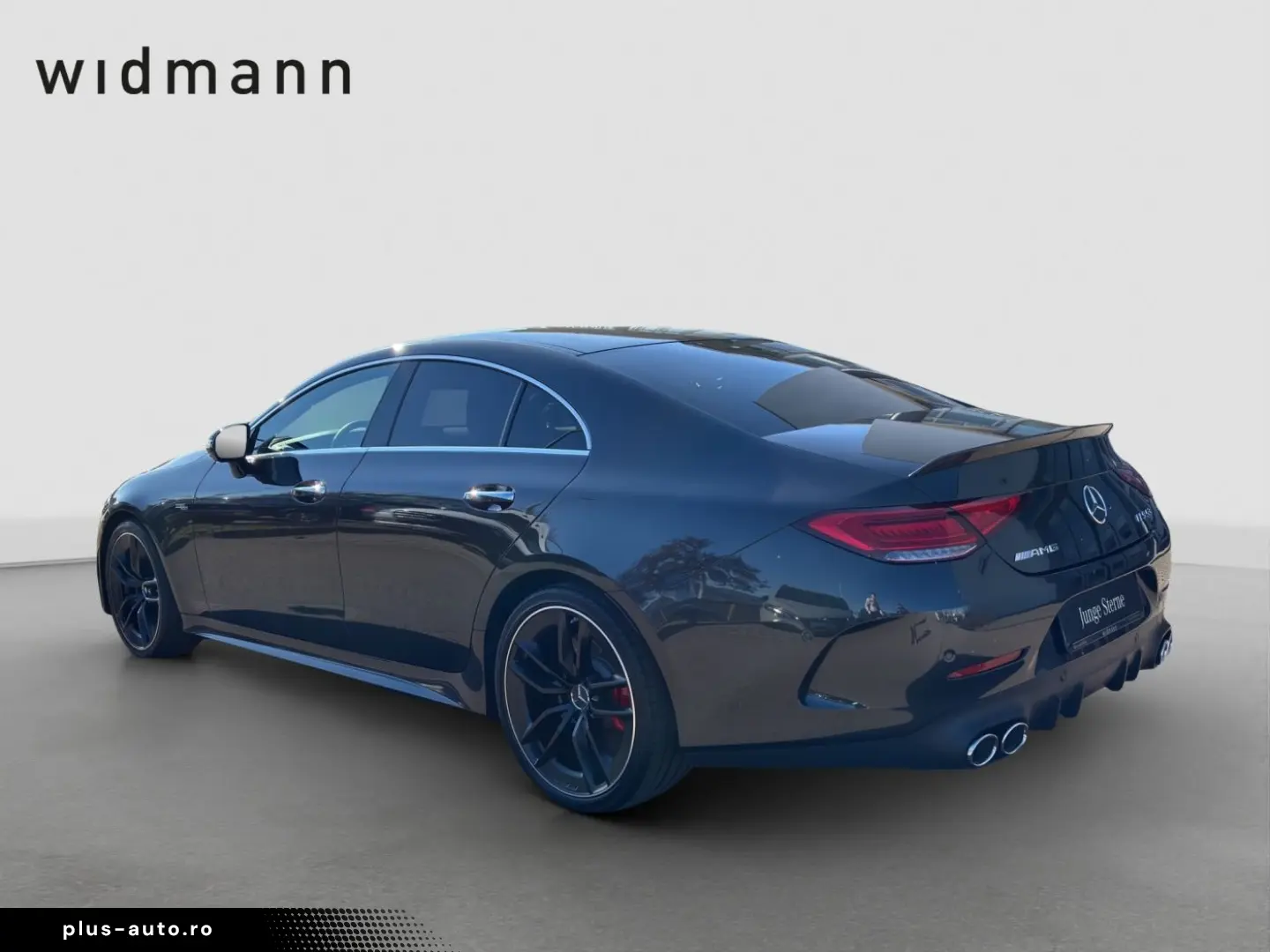 MERCEDES-BENZ CLS 53 AMG 4M    AHK Standhzg S-Dach Distro H