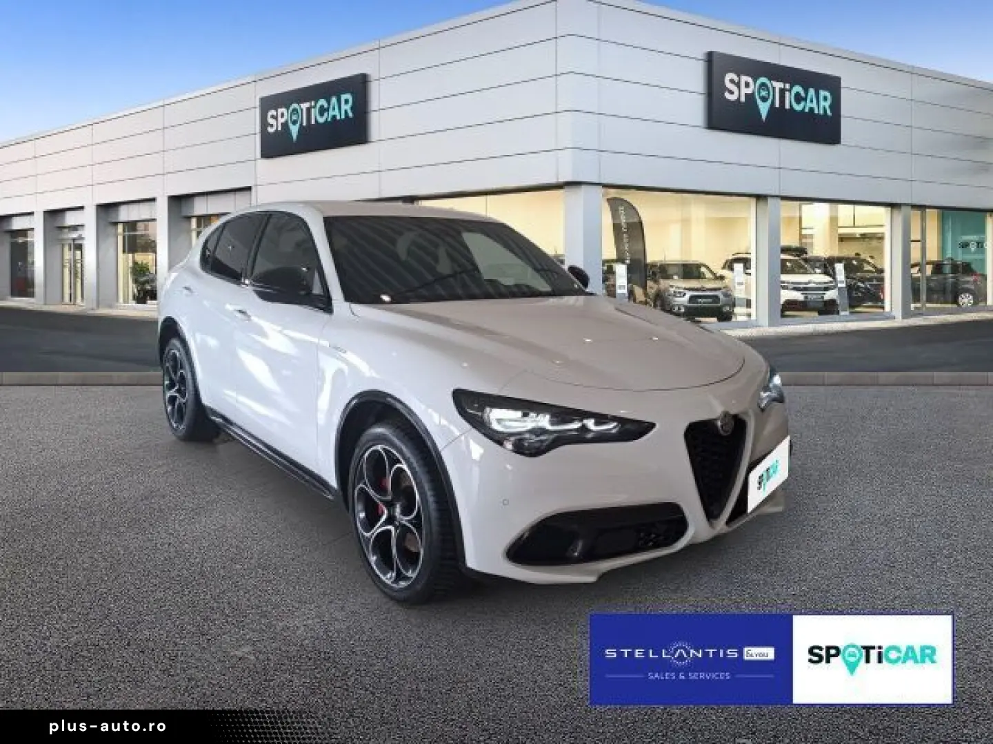 ALFA ROMEO Stelvio 2.0 Turbo 16V Veloce Q 4 AT8