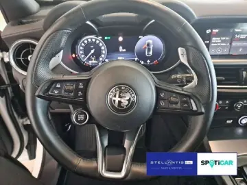 ALFA ROMEO Stelvio 2.0 Turbo 16V Veloce Q 4 AT8