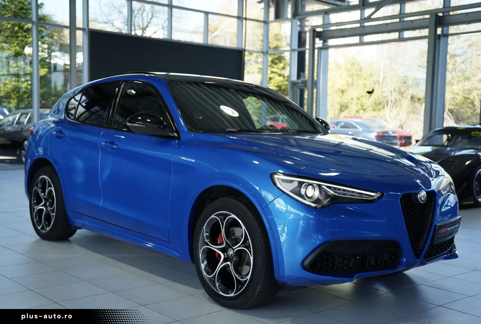 ALFA ROMEO Stelvio Veloce Q4  1.Hand  ACC  Pano  AHK