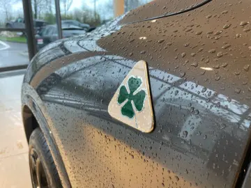 ALFA ROMEO Stelvio Quadrifoglio 2 9l V6 510PS Q4 SPARCO