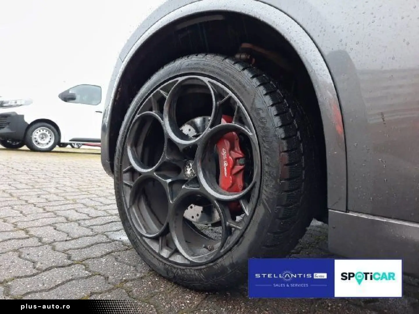 ALFA ROMEO Stelvio 2.9 V6 Bi-turbo Quadri foglio Q4