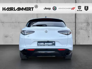 ALFA ROMEO Stelvio Veloce PANORAMA AHK ACC NAVI CARPLAY KAM