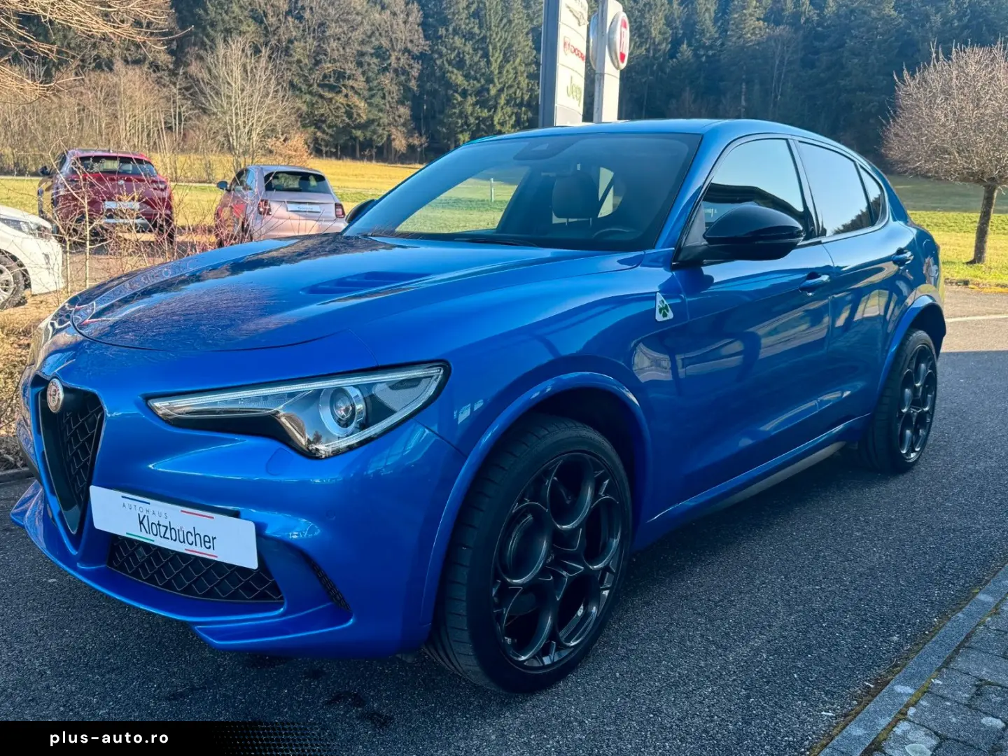 ALFA ROMEO Stelvio Quadrifoglio Q4