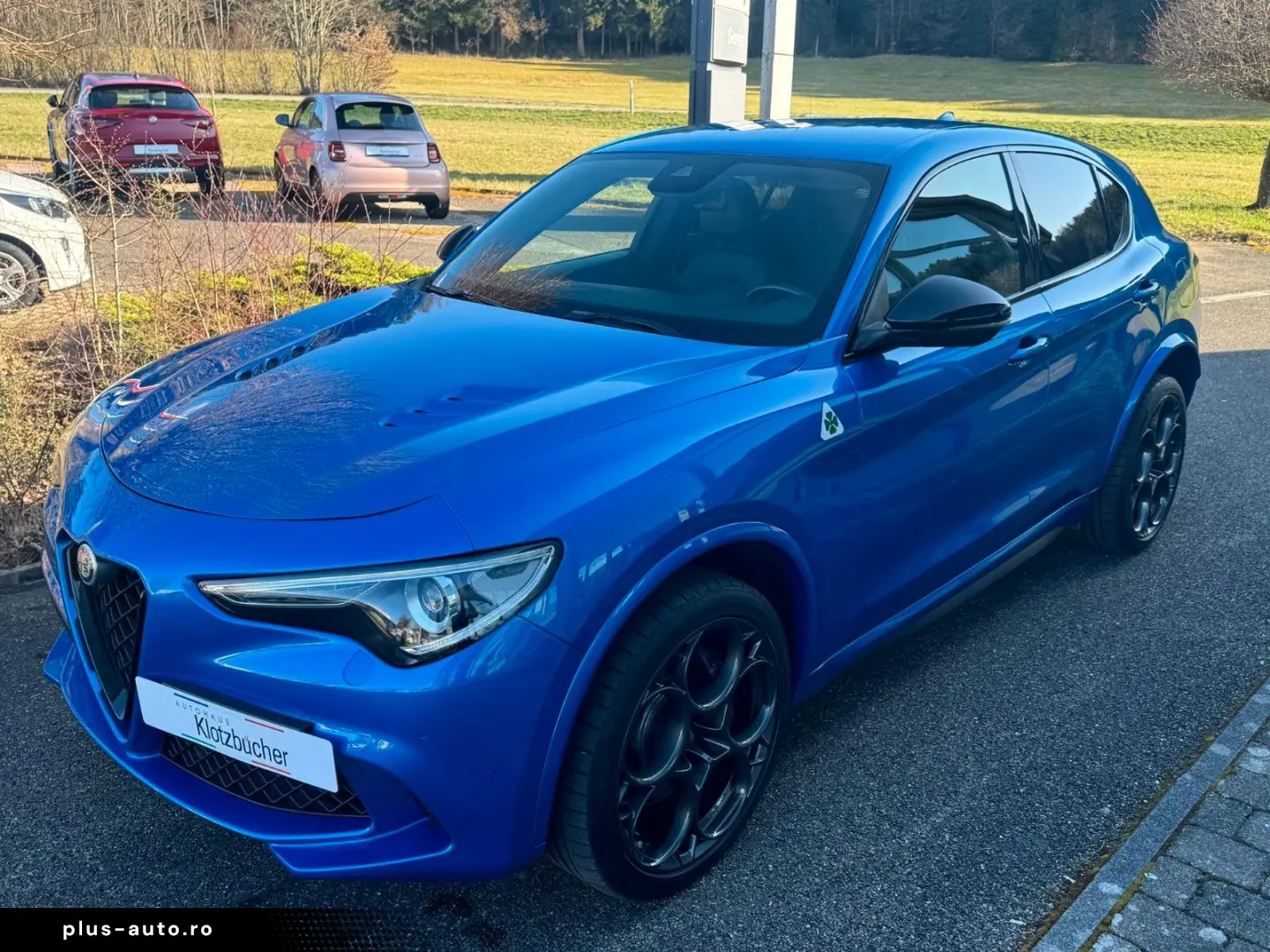 ALFA ROMEO Stelvio Quadrifoglio Q4