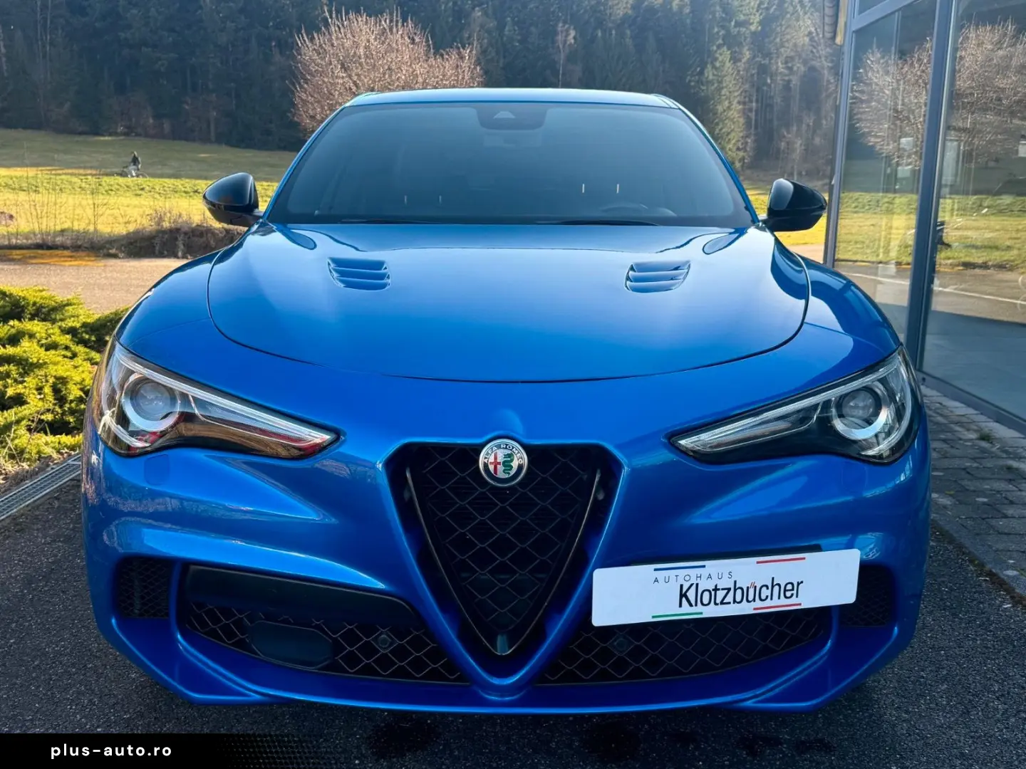 ALFA ROMEO Stelvio Quadrifoglio Q4