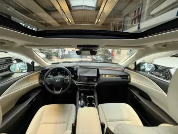 Lexus RX 450 F-SPORT -PANORAMA-HUD-360 GRAD-MATRIX LED