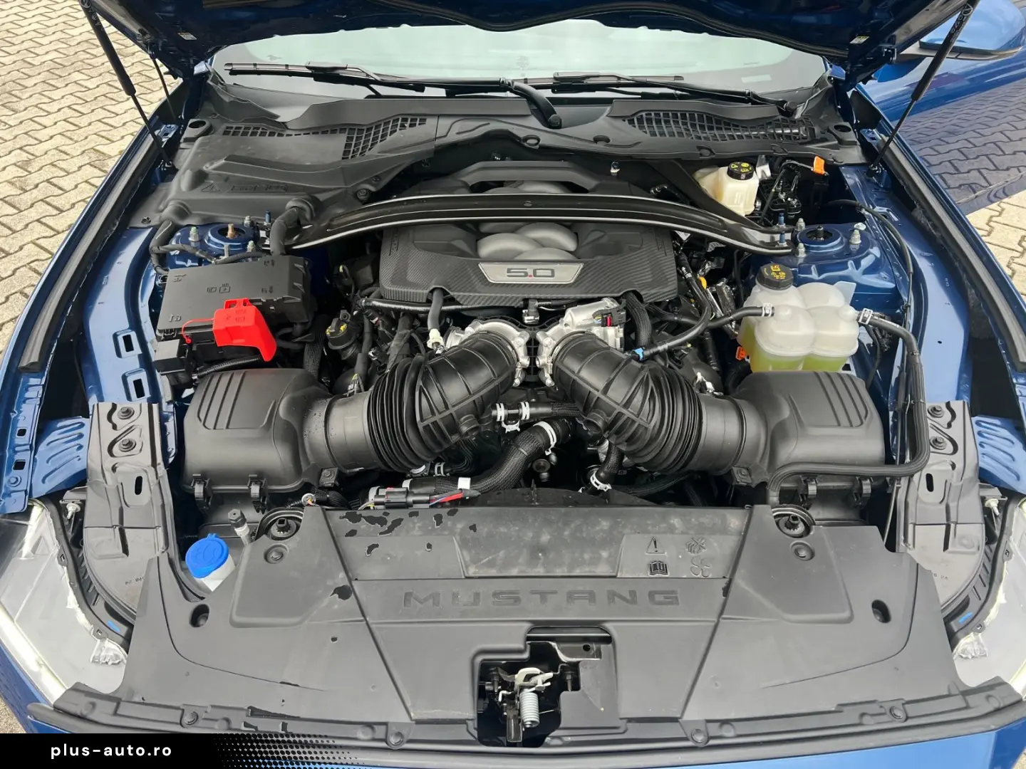 FORD Mustang Convertible 5.0 Ti-VCT V8 328 GT MY 2024