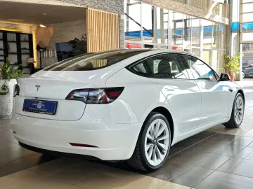 TESLA Model 3 RWD SHZ LED Leder Pano Autopilot R.Cam