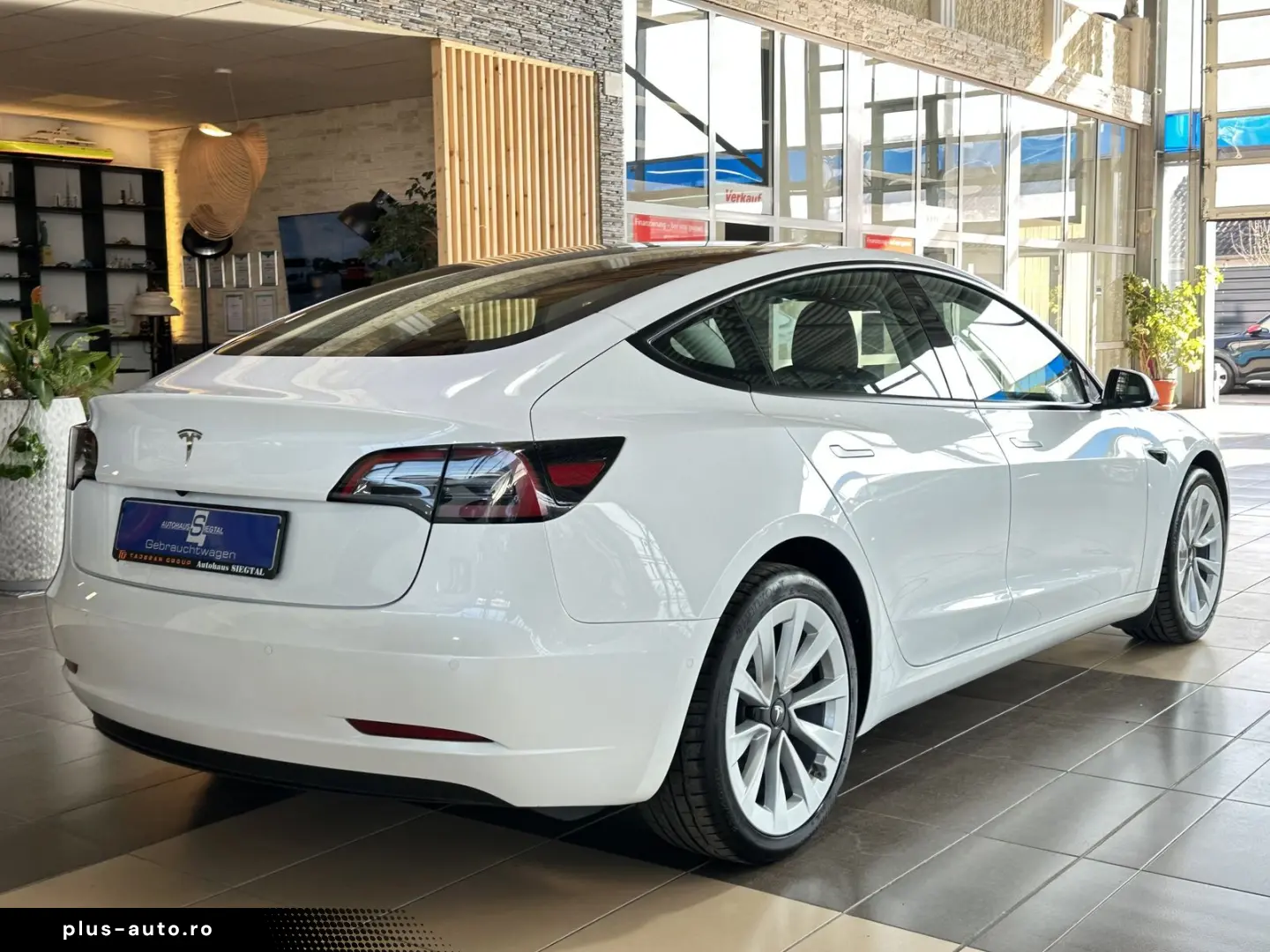 TESLA Model 3 RWD SHZ LED Leder Pano Autopilot R.Cam