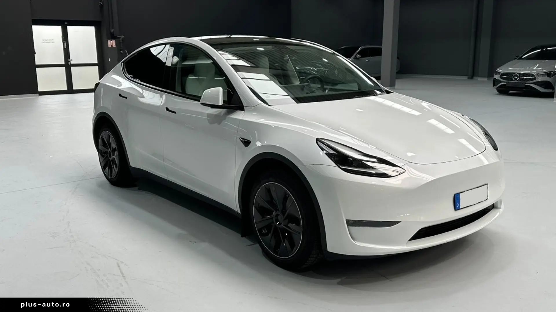 TESLA Model Y Dual AWD Navi