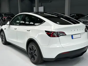 TESLA Model Y Dual AWD Navi