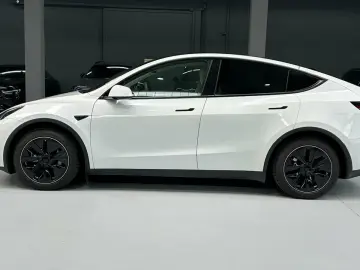 TESLA Model Y Dual AWD Navi