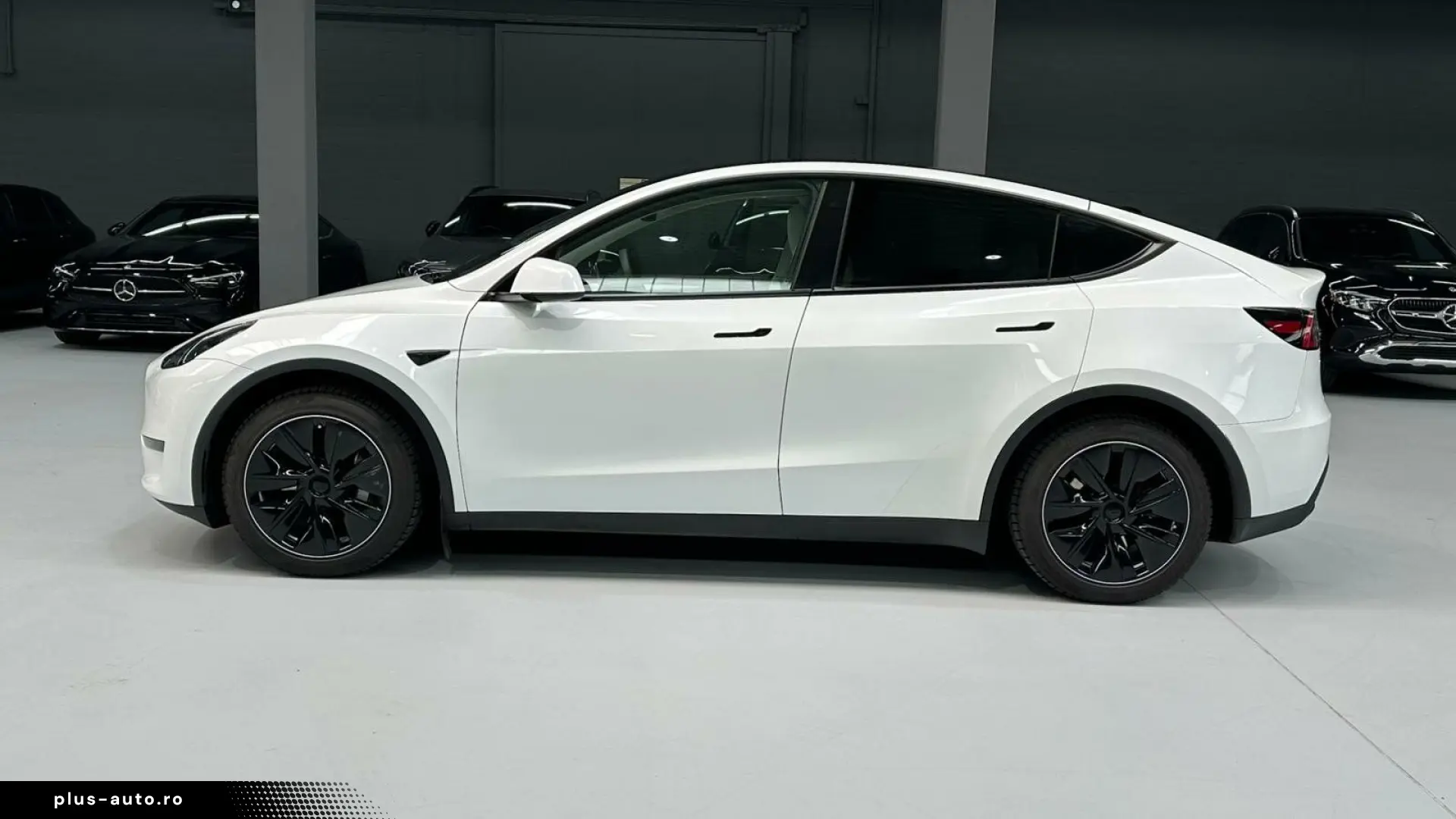 TESLA Model Y Dual AWD Navi