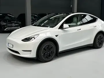 TESLA Model Y Dual AWD Navi