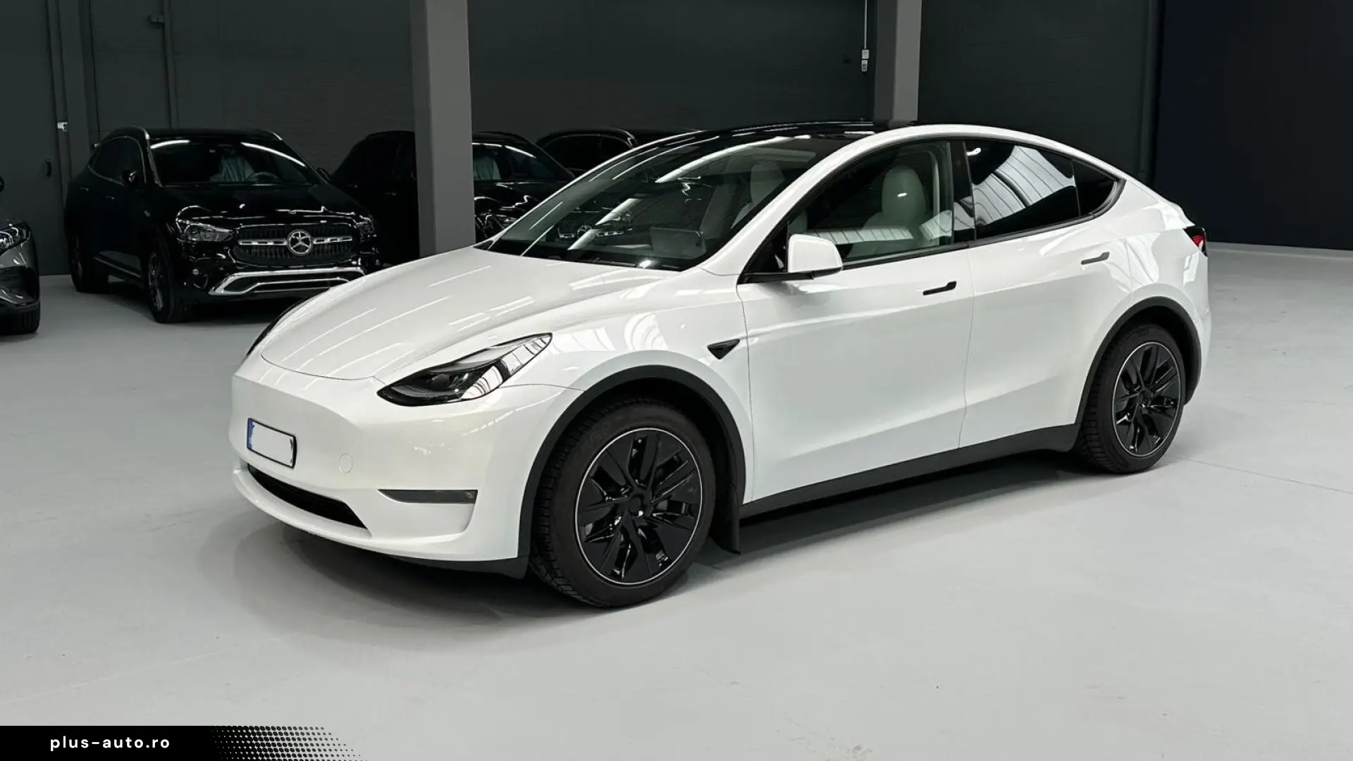 TESLA Model Y Dual AWD Navi