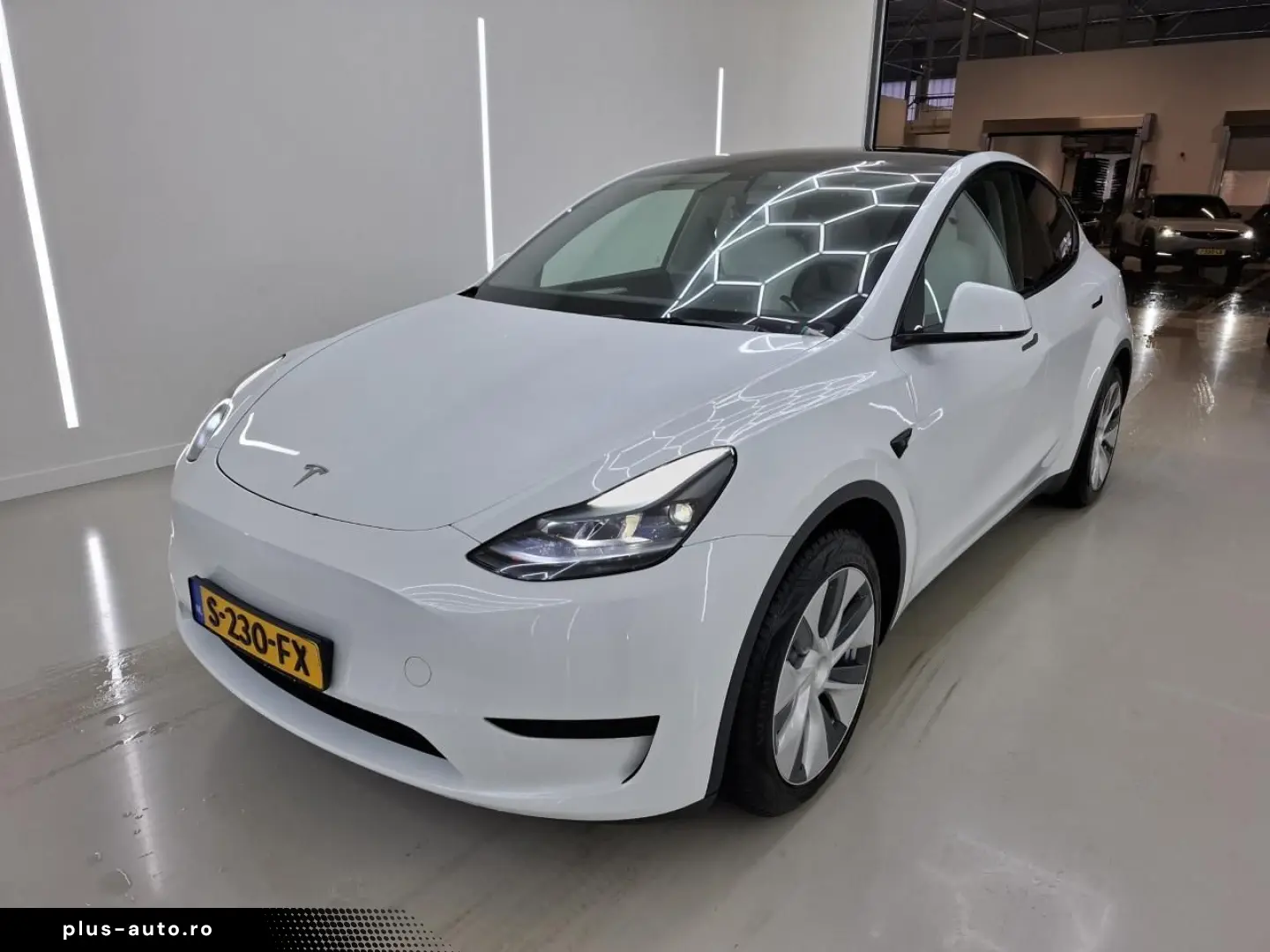 TESLA Model Y Standard RWD Plus