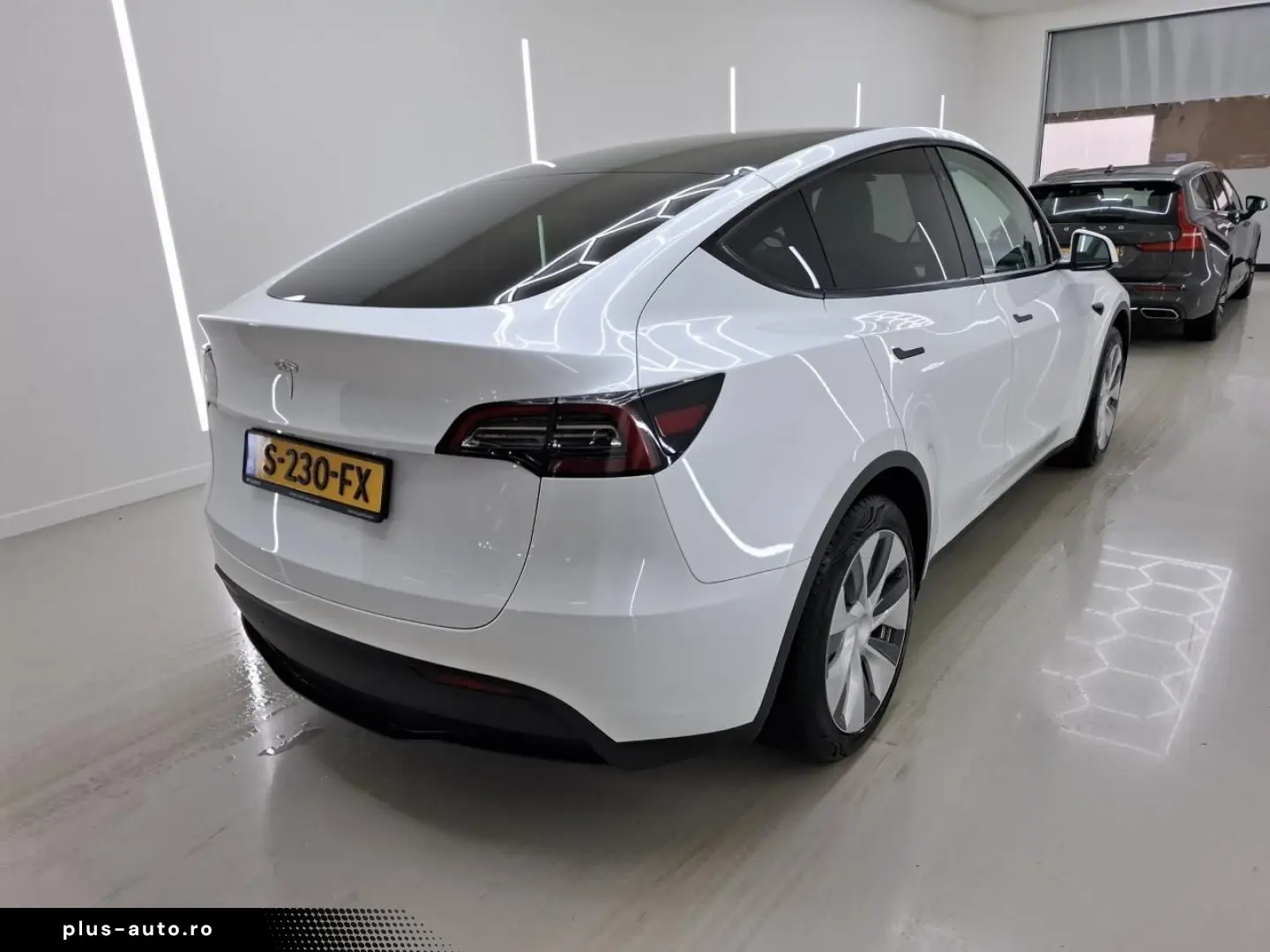 TESLA Model Y Standard RWD Plus