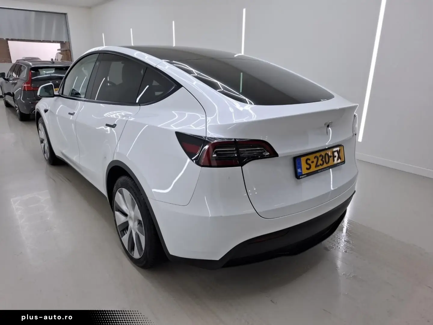 TESLA Model Y Standard RWD Plus