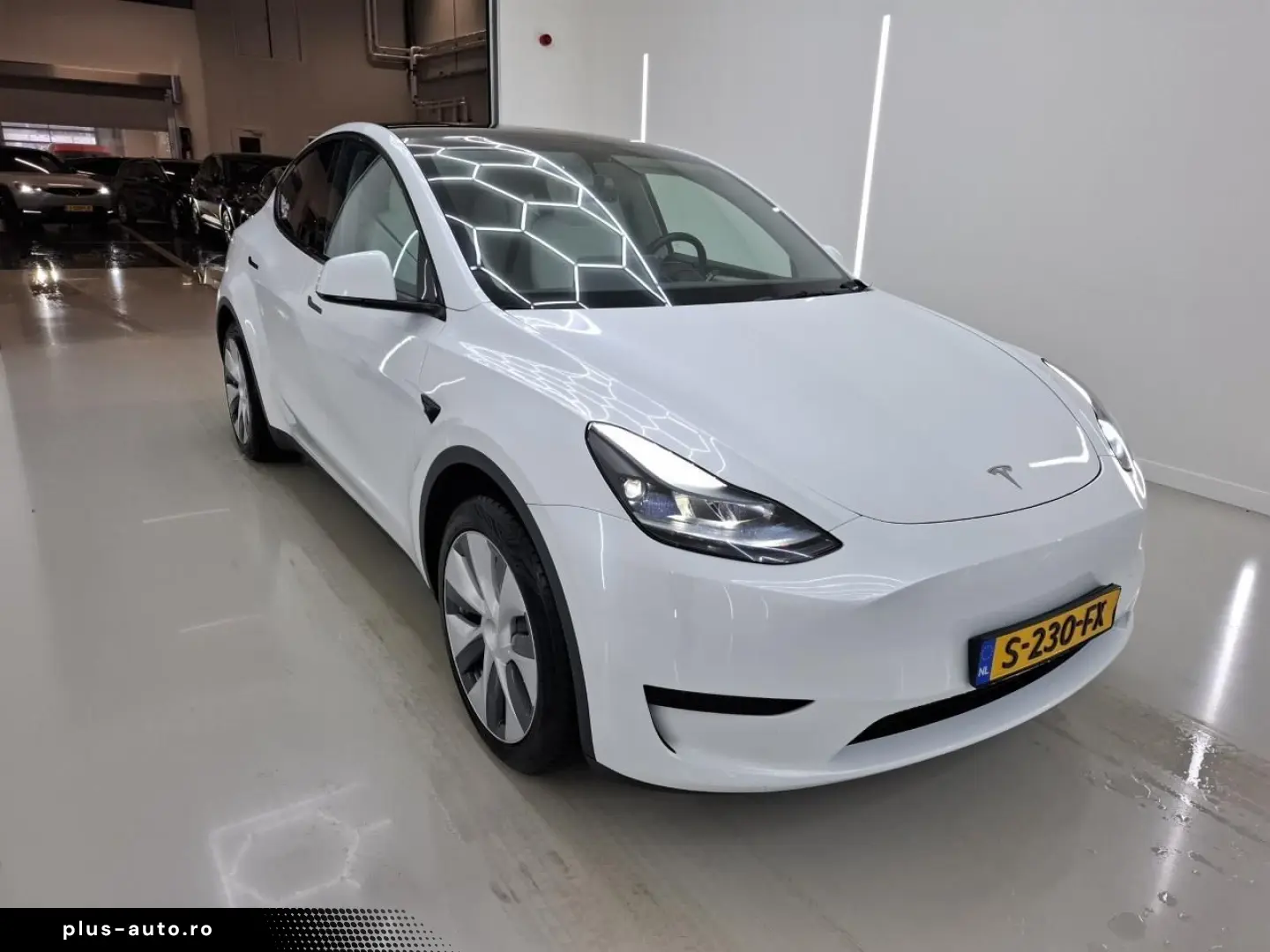 TESLA Model Y Standard RWD Plus