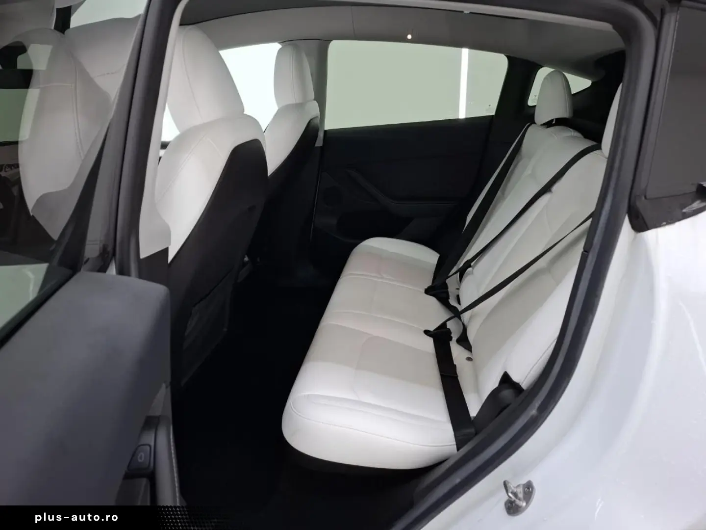 TESLA Model Y Standard RWD Plus